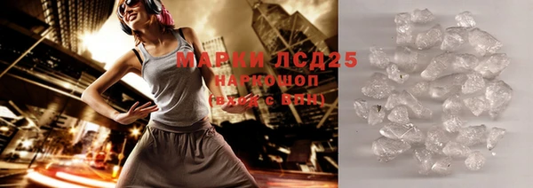 индика Ладушкин