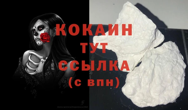 ПСИЛОЦИБИНОВЫЕ ГРИБЫ Весьегонск