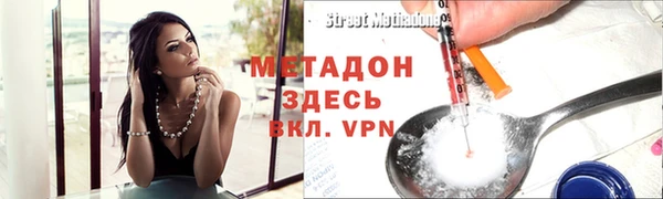 индика Ладушкин