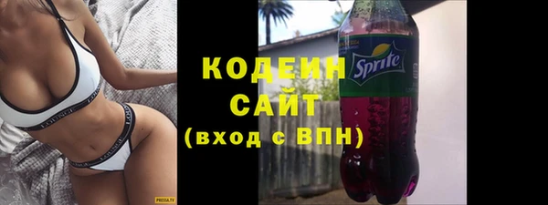 индика Ладушкин