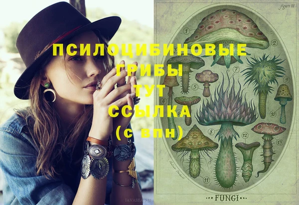 индика Ладушкин