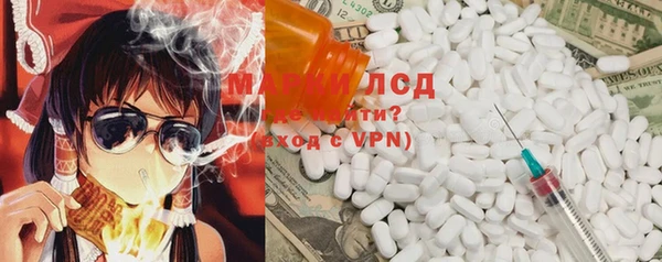 индика Ладушкин