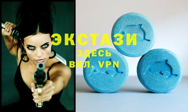 гашик Видное