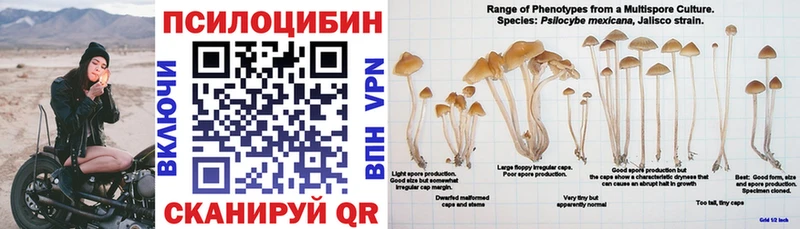 Купить где  Медногорск  Галлюциногенные грибы Magic Shrooms 