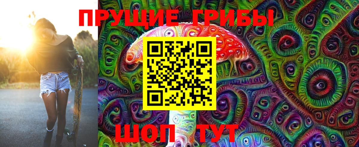 Псилоцибиновые грибы Psilocybine cubensis Медногорск