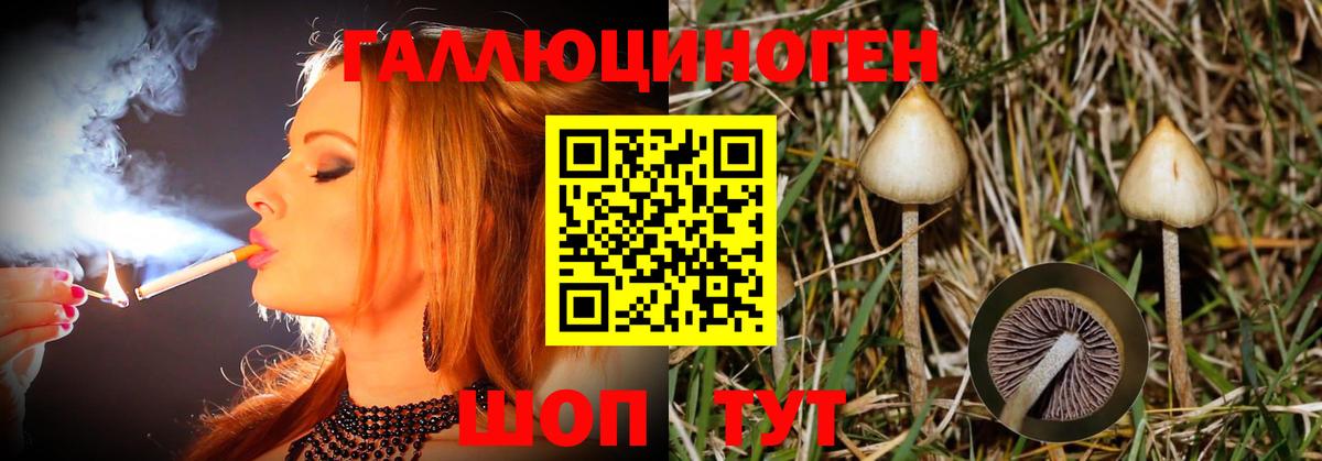 купить  цена  Псилоцибиновые грибы ЛСД  Медногорск  Вход с VPN  Галлюциногенные грибы Magic Shrooms 